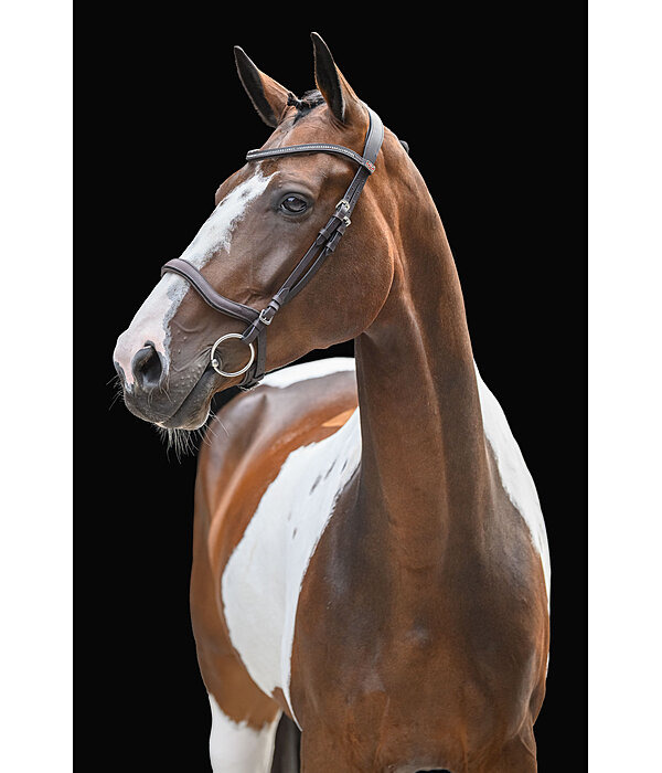 Cavesson Bridle Comfort Space