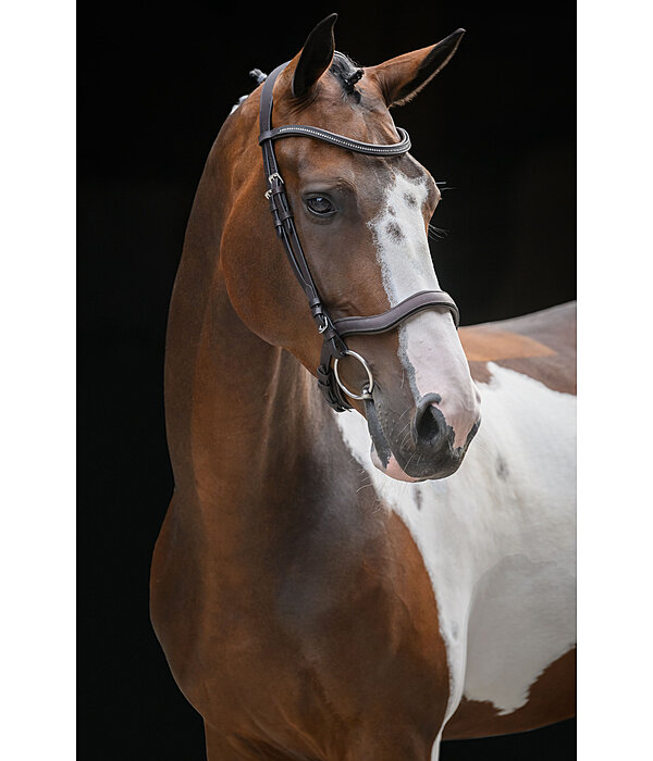 Cavesson Bridle Comfort Space