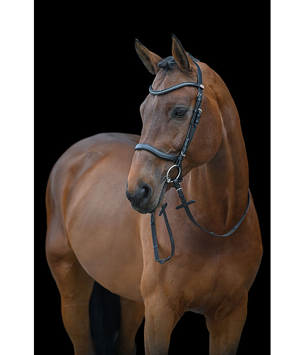 Cavesson Bridle Comfort Space