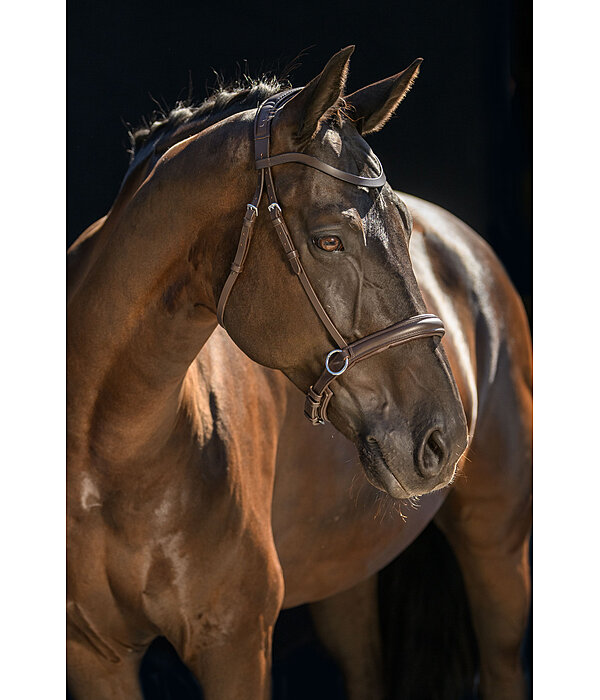 Bitless Bridle Comfort