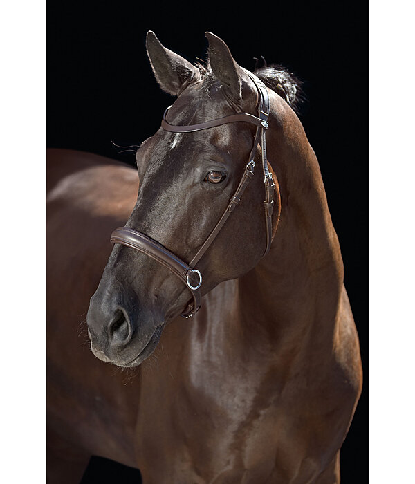 Bitless Bridle Comfort