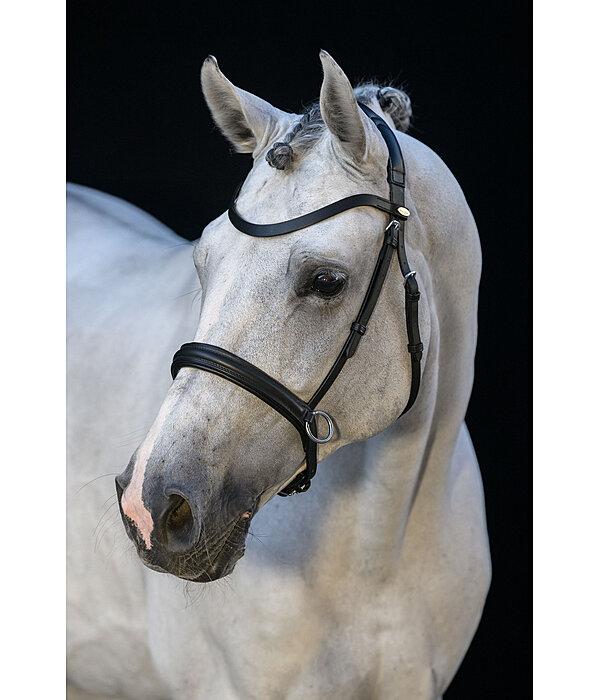 Bitless Bridle Comfort