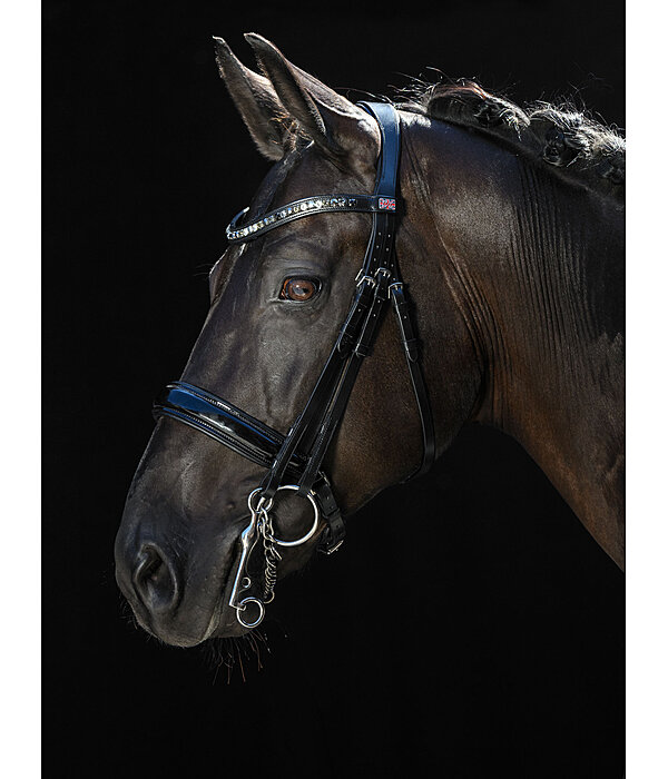 Double Bridle Dressage