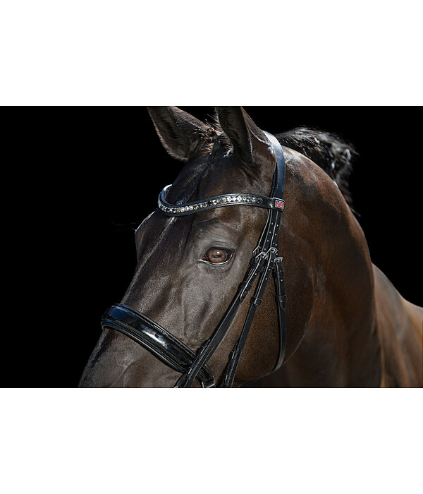 Double Bridle Dressage