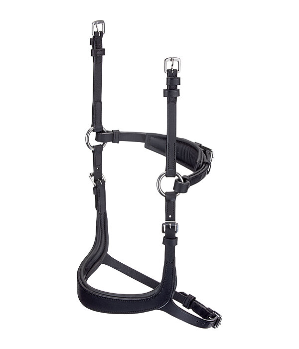 Mix & Match Oiled Leather Noseband Revolution