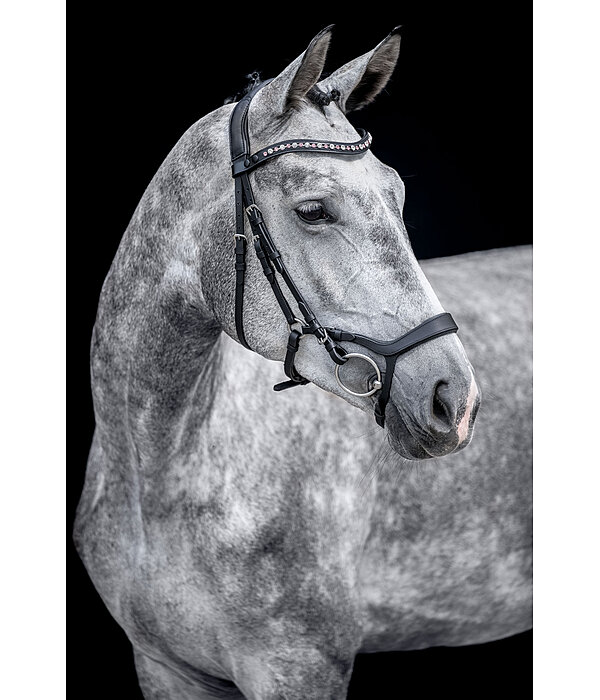 Mix & Match Oiled Leather Noseband Revolution