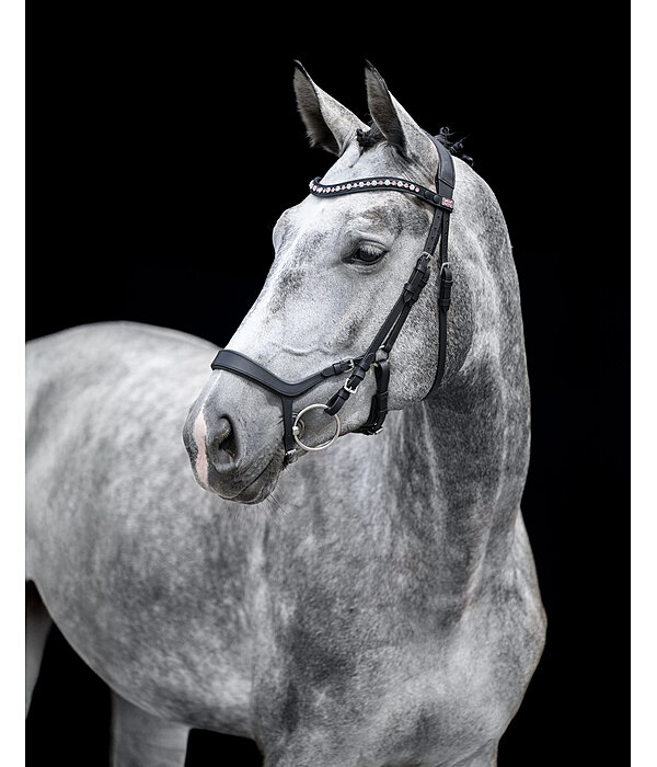 Mix & Match Oiled Leather Noseband Revolution