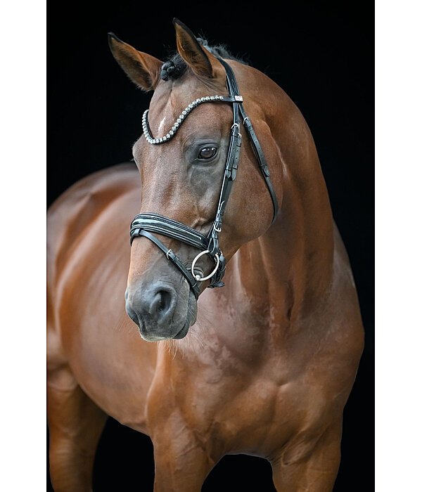 Flash Bridle Eloise