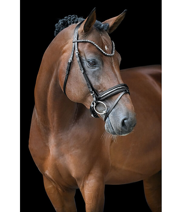 Flash Bridle Eloise