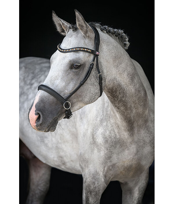 Mix & Match Oiled Leather Noseband Bitless