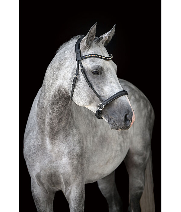Mix & Match Oiled Leather Noseband Bitless