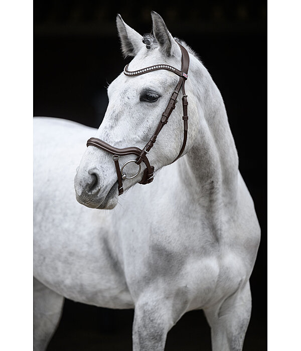 Bridle Melbourne