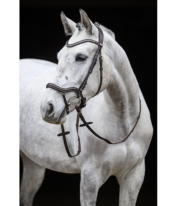 Bridle Melbourne