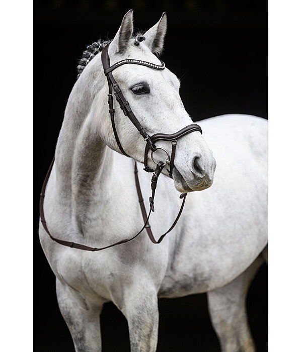 Bridle Melbourne