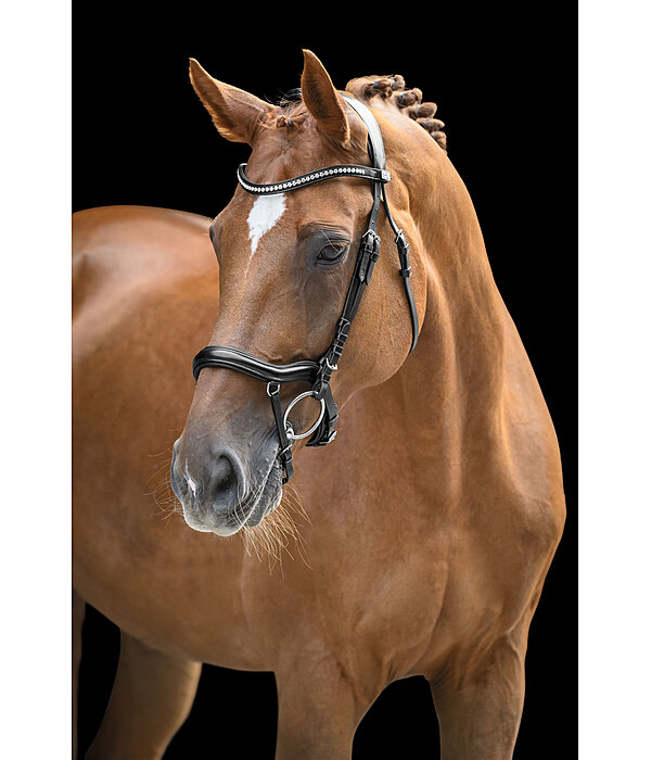 Bridle Melbourne