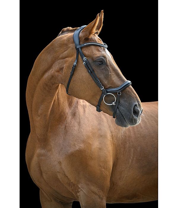 Bridle Melbourne