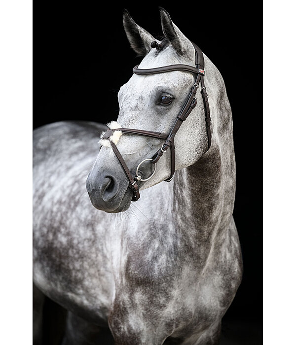 Grackle Bridle Diabolo