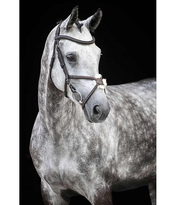 Grackle Bridle Diabolo