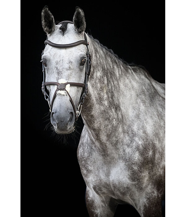 Grackle Bridle Diabolo