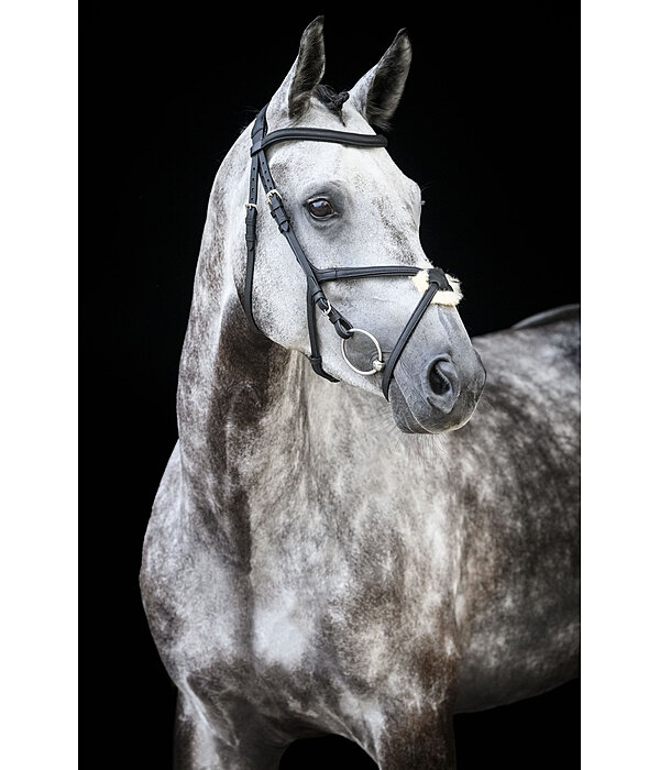 Grackle Bridle Diabolo