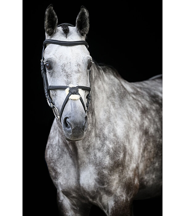 Grackle Bridle Diabolo