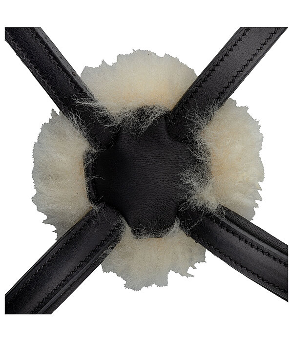 Grackle Bridle Diabolo