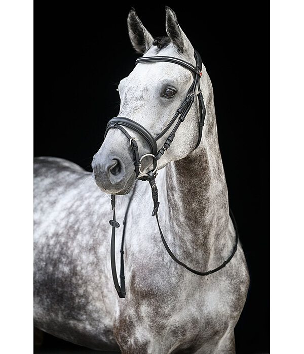 Flash Bridle Soft Comfort Crystal