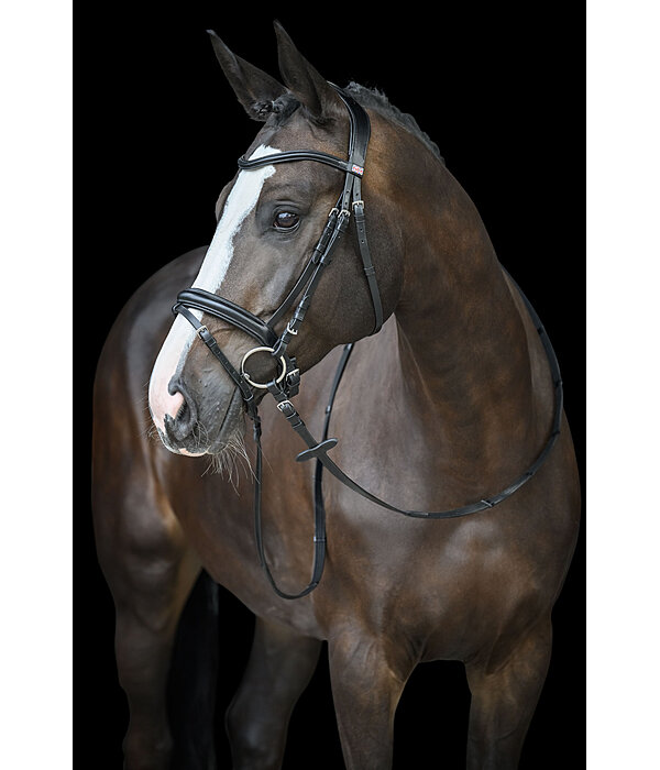 Flash Bridle Melodie