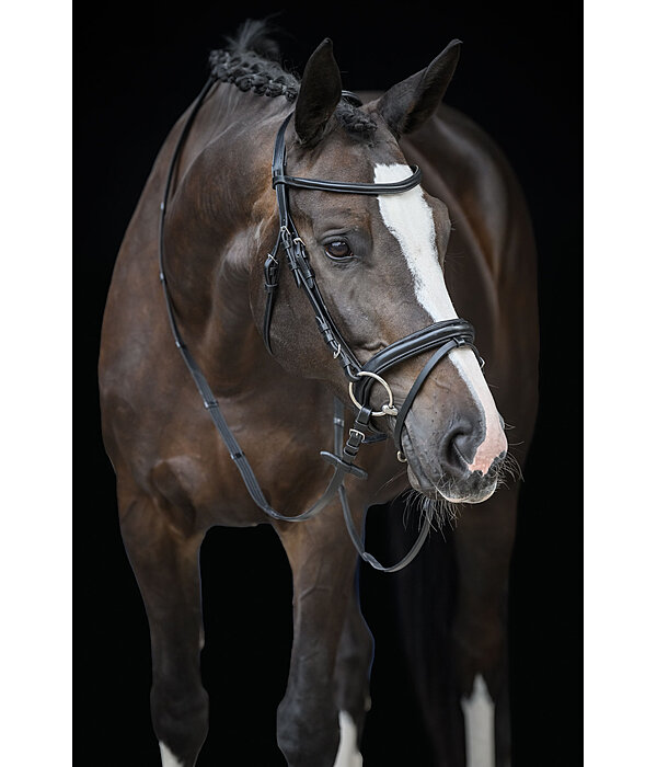Flash Bridle Melodie