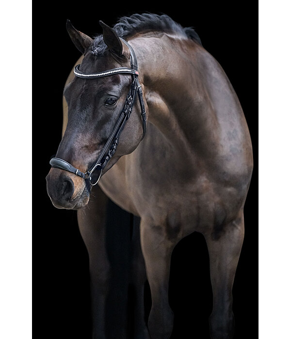 Drop Noseband Bridle Perfect Fit