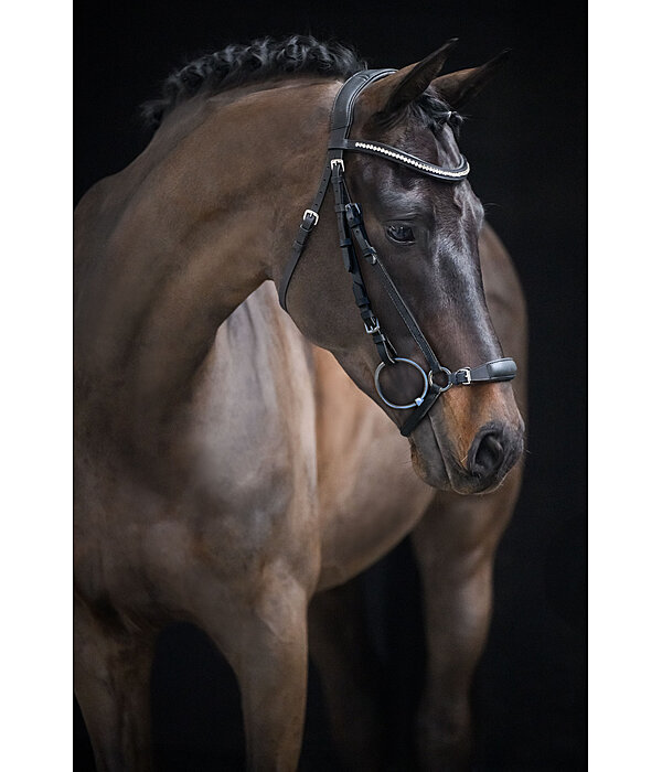 Drop Noseband Bridle Perfect Fit