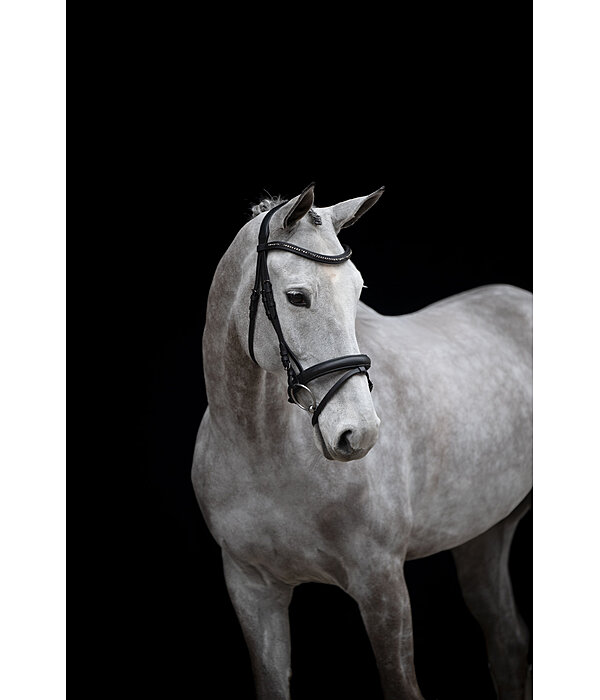 Flash Bridle Midnight