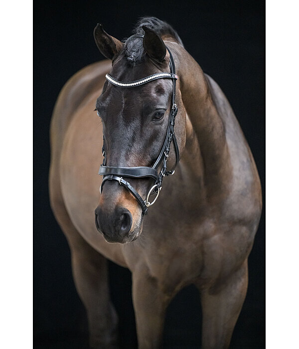 Bridle Berlin with Removable Flash Strap