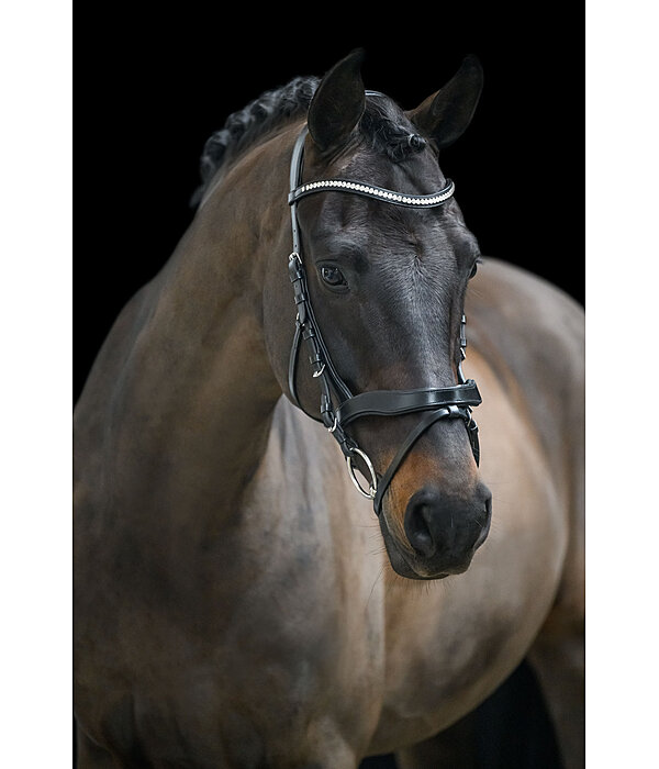 Bridle Berlin with Removable Flash Strap