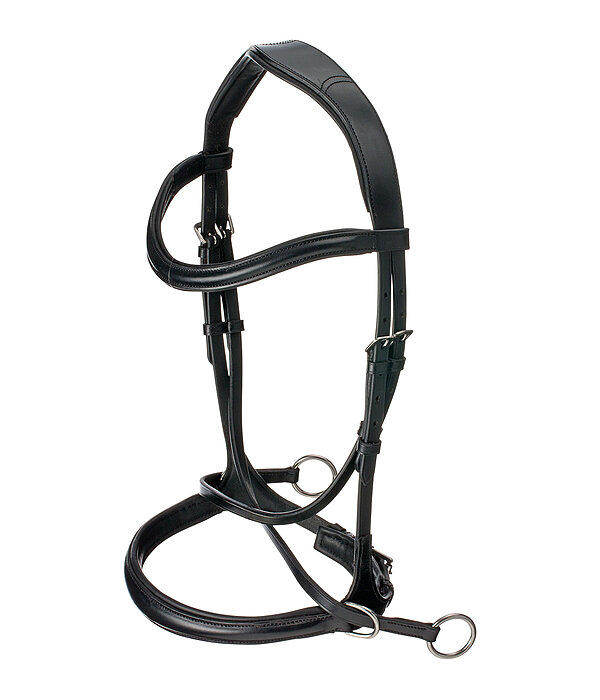 Bitless Bridle 5-in-1