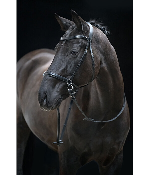 Bitless Bridle 5-in-1