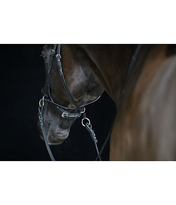 Bitless Bridle 5-in-1