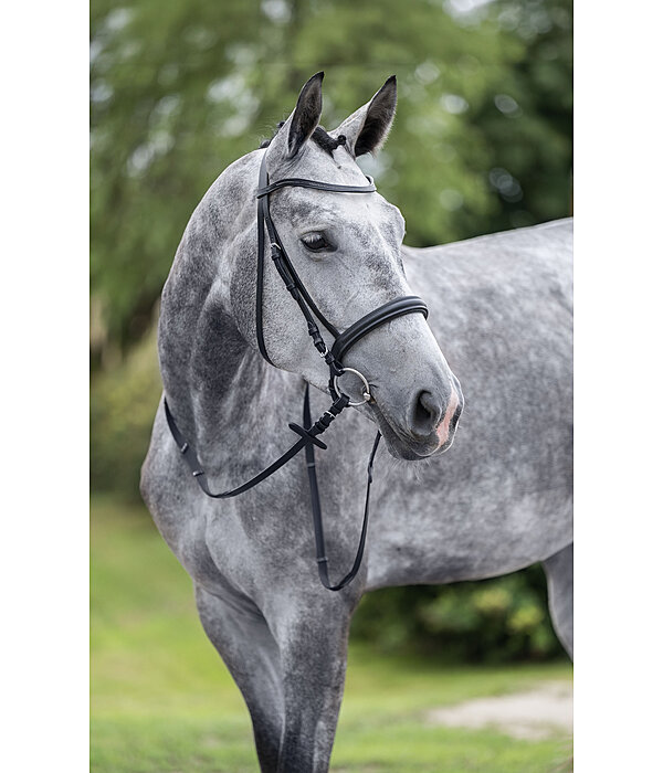 Cavesson Bridle Easy