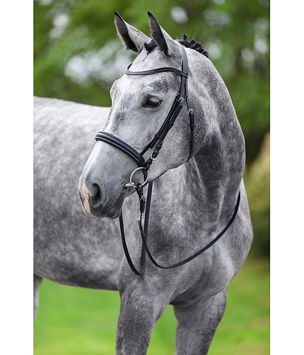 Cavesson Bridle Easy