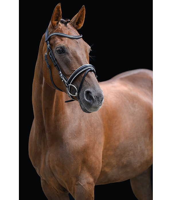 Flash Bridle Glamour