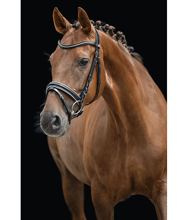 Flash Bridle Glamour