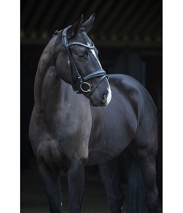 Flash Bridle Lucie