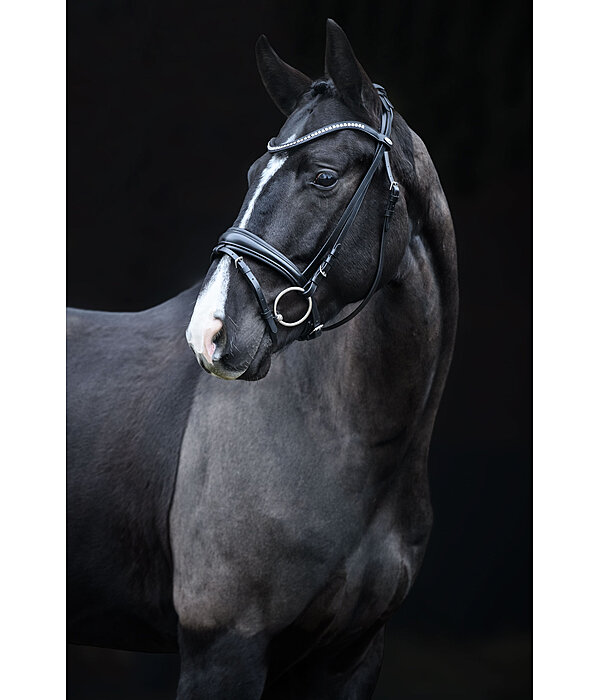 Flash Bridle Lucie