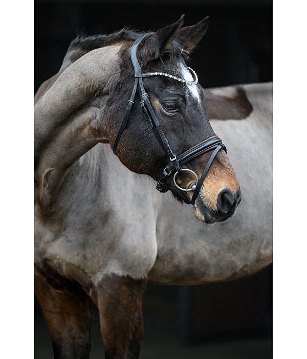 Crank Flash Bridle Charly