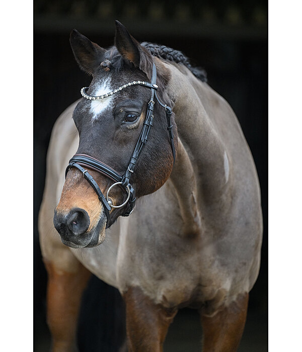 Crank Flash Bridle Charly