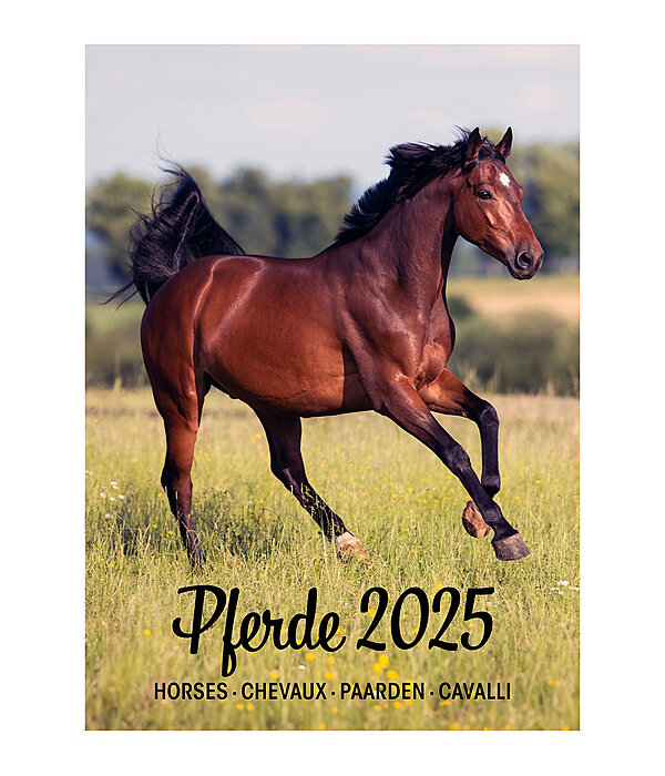 Horse Calendar 2024