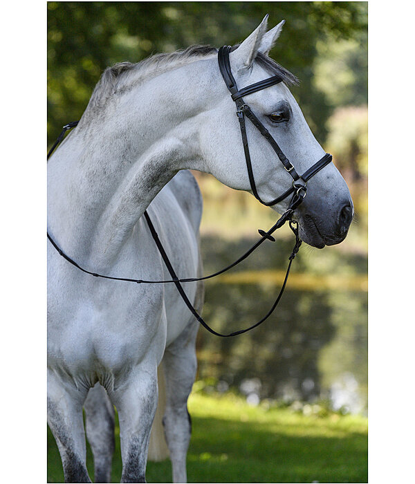 Bitless Bridle