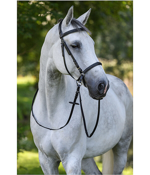 Bitless Bridle