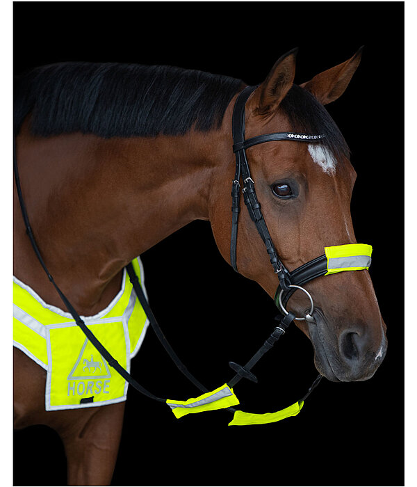 Reflective Bridle Cover Set