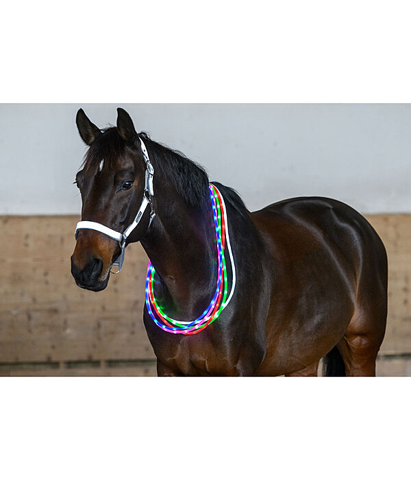 LED-Light Neck Strap for Horses